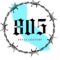 805 Fence Company